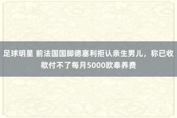 足球明星 前法国国脚德塞利拒认亲生男儿，称已收歇付不了每月5000欧奉养费