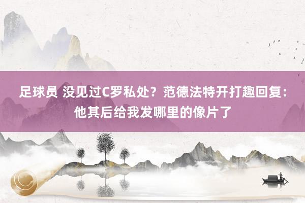 足球员 没见过C罗私处？范德法特开打趣回复：他其后给我发哪里的像片了