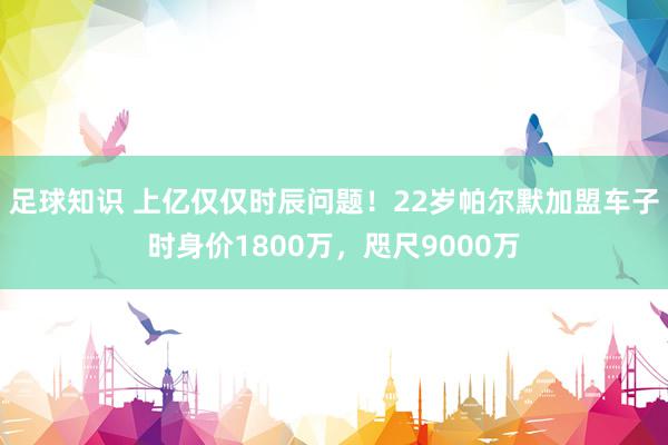 足球知识 上亿仅仅时辰问题！22岁帕尔默加盟车子时身价1800万，咫尺9000万