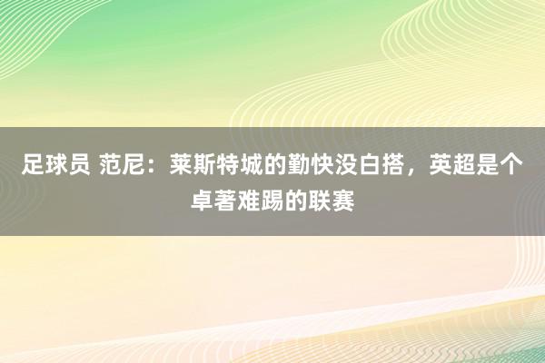 足球员 范尼：莱斯特城的勤快没白搭，英超是个卓著难踢的联赛