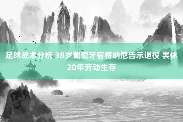 足球战术分析 38岁葡萄牙宿将纳尼告示退役 罢休20年劳动生存