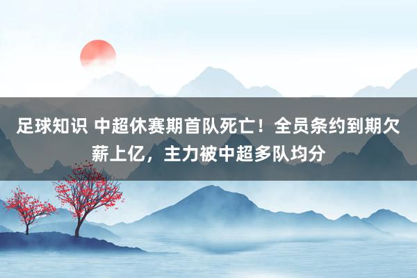 足球知识 中超休赛期首队死亡！全员条约到期欠薪上亿，主力被中超多队均分